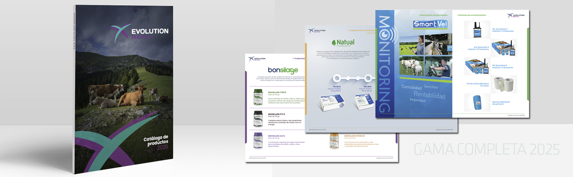 banner_catalogo_promo_web