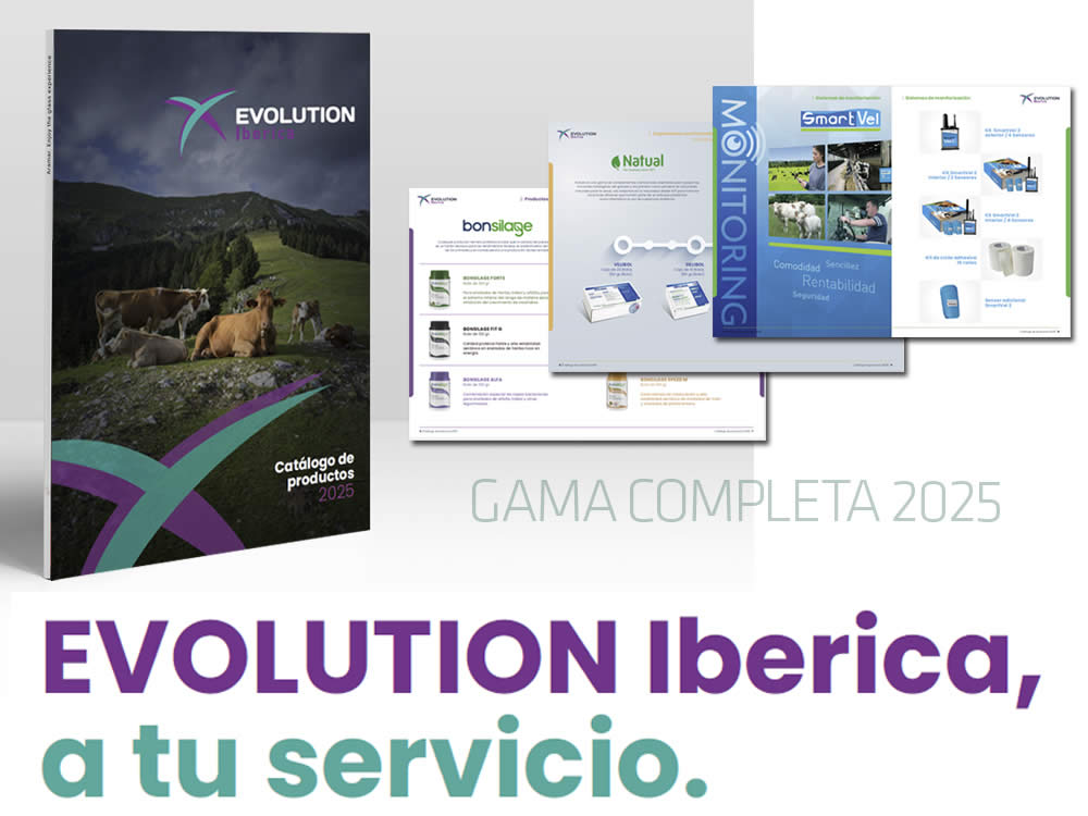 banner_catalogo_promo_web_movil_opt