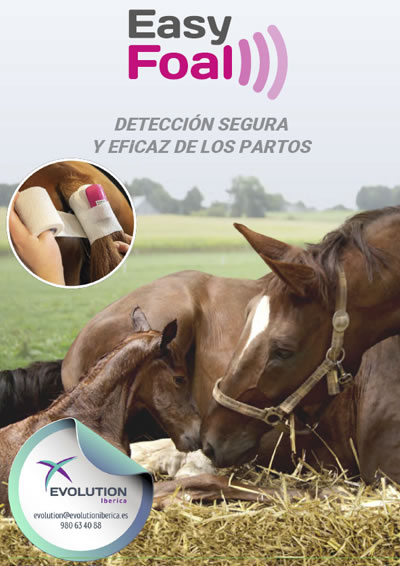 portadaEASYFOAL_opt